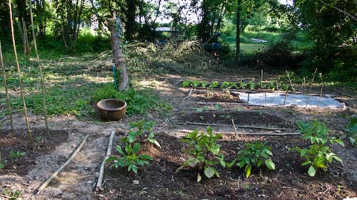 Overzicht nieuwe tuin