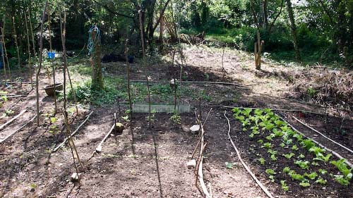 Nieuwe tuin